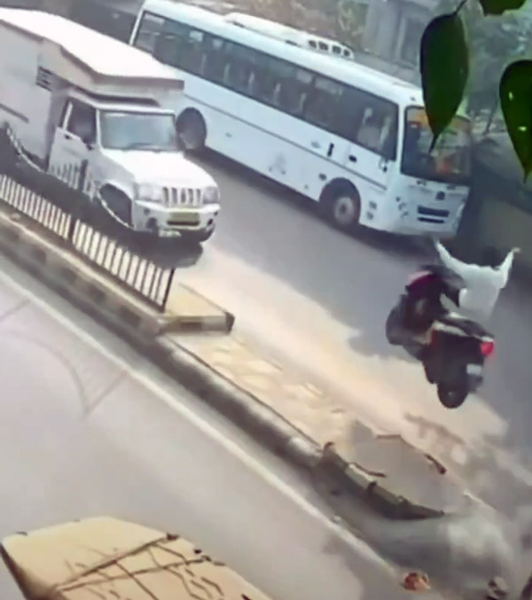 scooter rider video goes viral scooter rider video goes viral