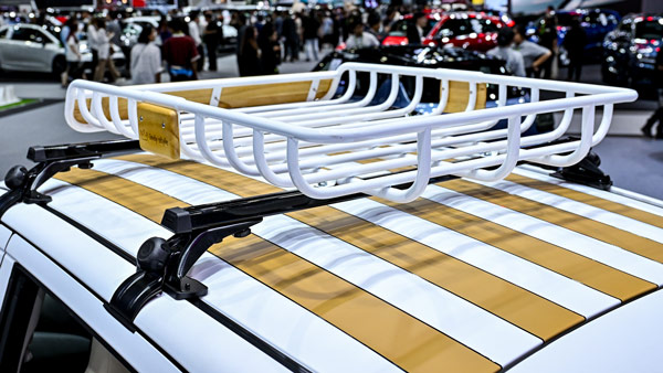 suzuki celerio milano edition roof rack