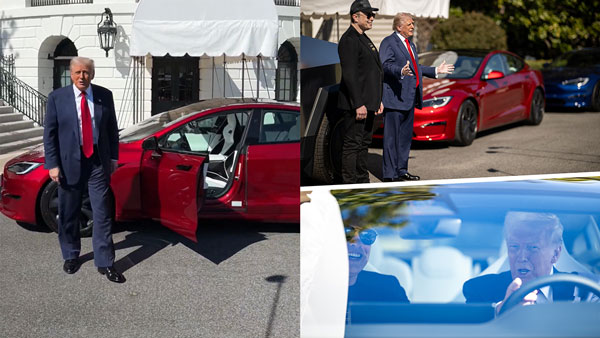 donald trump buys tesla