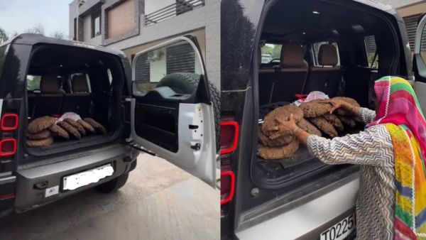 defender cow dung cakes