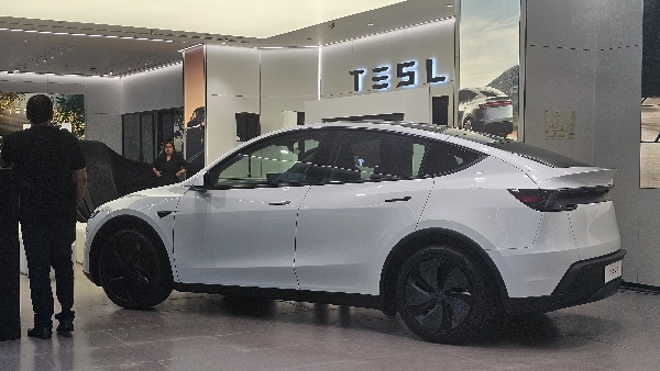 tesla model y side