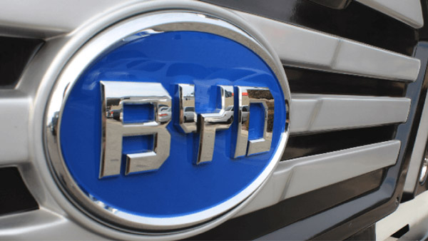 byd sales down