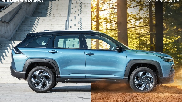 maruti suzuki victoris side