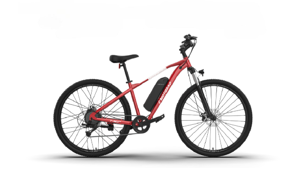 Best Affordable Electric Bicycles Under Rs 50 000