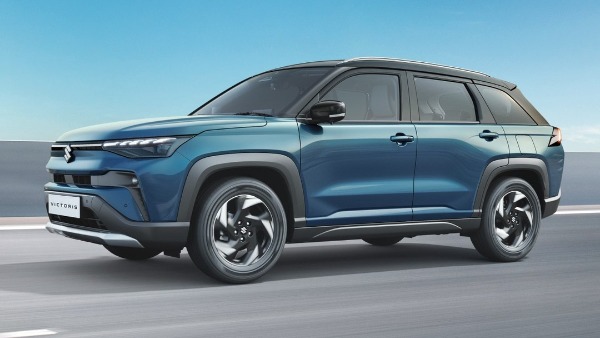 maruti suzuki victoris