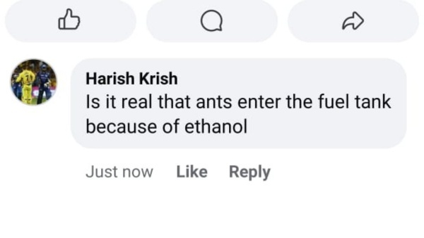 does e20 petrol attract ants myth truth