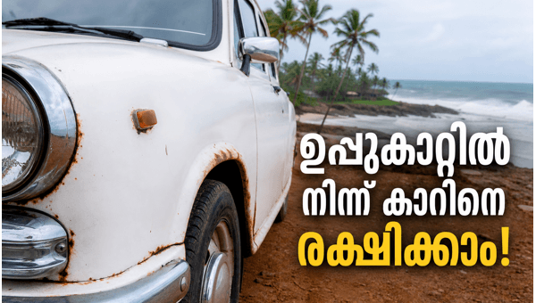 Coastal car maintenance