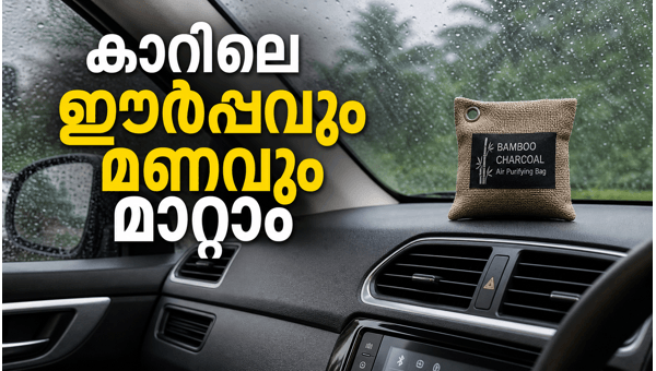 Monsoon car care tips