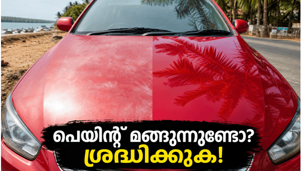 Car paint protection tips Car paint protection tips