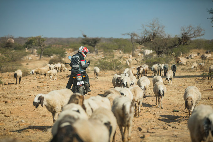 Royal Enfield Tour Of Rajasthan 2018