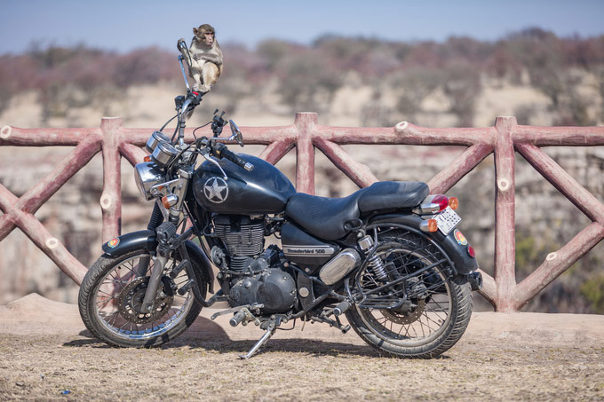 Royal Enfield Tour Of Rajasthan 2018