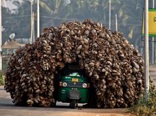 கூடுதல் பாரம் ஏற்றிய வாகனங்களால் சாலைகளில் அச்சுறுத்தல்கள்!