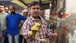 ஊரடங்கினால் ஹோண்டா சிட்டி காரை வீடாக மாற்றிக்கொண்ட 6 அடி பாம்பு.. இன்னும் என்னென்ன நடக்க இருக்கிறதோ?