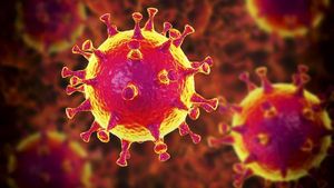 இந்தியாவில் அதிசய சம்பவம்... 9 ஆயிரம் பேரின் உயிரை காப்பாற்றிய கொரோனா வைரஸ்... எப்படினு தெரியுமா?