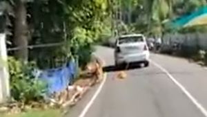 நாயை காரில் கட்டி தரதரவென இழுத்து சென்றதற்கு காரணம் இதுதானாம்... வெளிவந்த தகவலால் அதிர்ச்சியில் உறைந்த மக்கள்