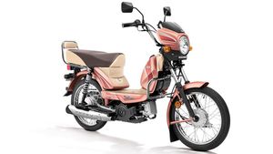 டிவிஎஸ் எக்ஸ்.எல்100 பைக்கில் புதிய கோரல் சில்க் நிறம் அறிமுகம்!! தீபாவளிக்கு ஒண்ணு வாங்கி போடலாம்!! 