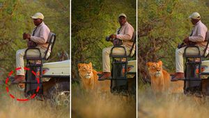 காட்டுக்குள்ள திறந்த வெளி ஜீப்ல சஃபாரி போறவங்கள மட்டும் விலங்குகள் தாக்காது ஏன் தெரியுமா? 