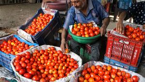 தக்காளி வித்த காசில் விவசாயி செய்த காரியம்! அத்தன பேரையும் செருப்பால அடிச்சுட்டாரு! நாடே திரும்பி பாக்குது!