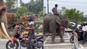 இதுக்கு முன்னாடி யானைகளை வெச்சு யாரும் இப்படி காசு சம்பாதிச்சது இல்ல! வைரல் வீடியோவால் மக்கள் அதிர்ச்சி!
