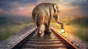 எல்லாமே டெக்னாலஜி... யானைகள் இனி இரயிலில் அடிப்பட வாய்ப்பே இல்ல!! இந்தியன் இரயில்வேஸின் சூப்பரான ஏஐ-டெக்னாலஜி!