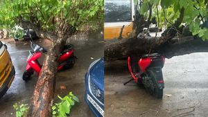 இதுக்கு அப்புறம் இந்த ஸ்கூட்டரை வாங்க கஸ்டமர்ஸ் குவிய போறாங்க!! திடீர் மழையினால் நடந்த அதிசயம்!