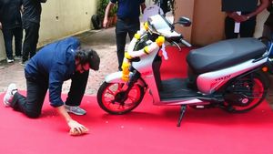 இவ்ளோ பெரிய ஆளு சாதாரண ஸ்கூட்டரை வாங்கியிருக்காரா! நம்ம பண்பாட்டை மறக்காம தேங்கா ஒடச்சதெல்லாம் வேற லெவல்!