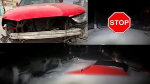 100 கிமீ வேகத்தில் வந்த கார்! குறுக்கே இருந்த கெளசிக்! ரூ10 லட்சம்  மொத்தமா போச்சு!