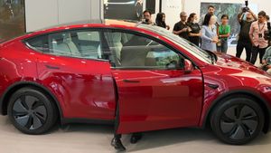 இதுக்கு இந்தியாவுக்கு வராமலேயே இருந்திருக்கலாம்... டெஸ்லா இதை மட்டும் செய்திருந்தால் பட்டாசா இருந்து இருக்கும்