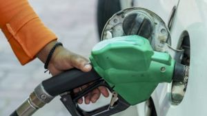E20 பெட்ரோல் எஞ்சினை பாதித்தால் விடமாட்டோம்... 45% வாகன உரிமையாளர்கள் கூறிய அதிரடி பதில்!