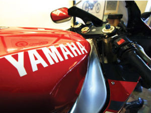 Yamaha Plant Yamaha Plant