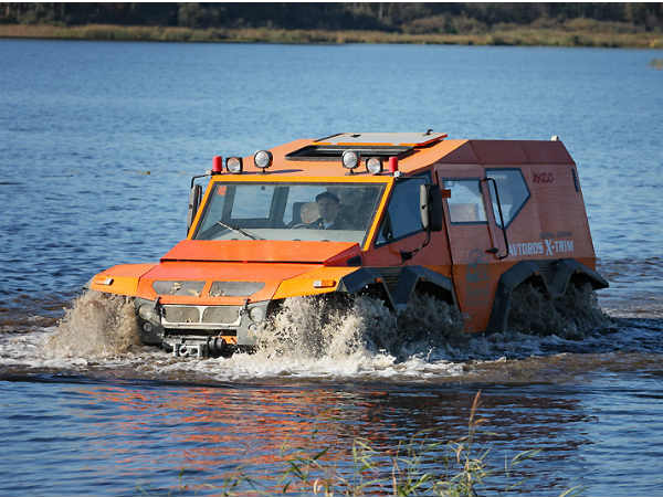 இரும்பு மீன்