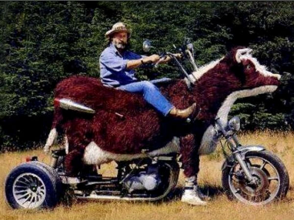 உலகின் விசித்திர பைக்குகள்