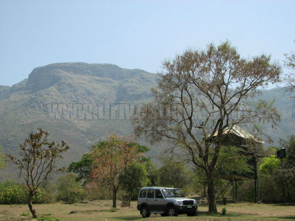 முதுமலை முதுமலை