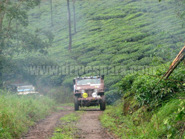 வயநாடு - தேயிலை தேசம் வயநாடு - தேயிலை தேசம்