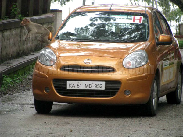 நந்தி ஹில்ஸ் - கர்நாடாகா நந்தி ஹில்ஸ் - கர்நாடாகா