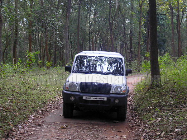 கூர்க் - கர்நாடகா கூர்க் - கர்நாடகா