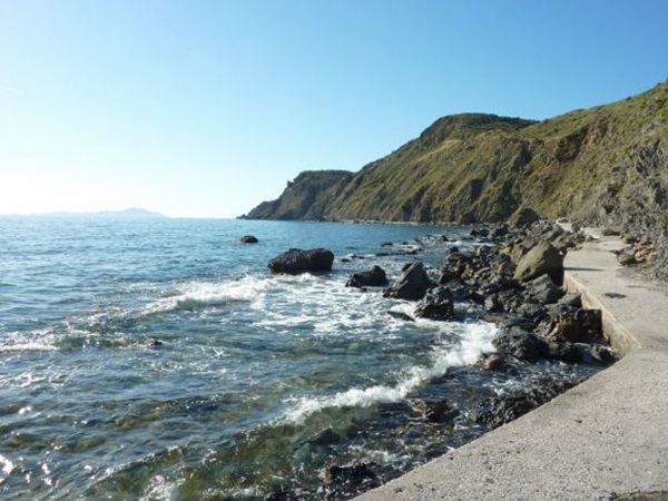 கடலழகை ரசிக்க ஓர் சாலை