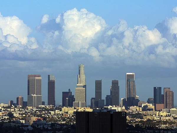  கான்கிரீட் காடுகள்