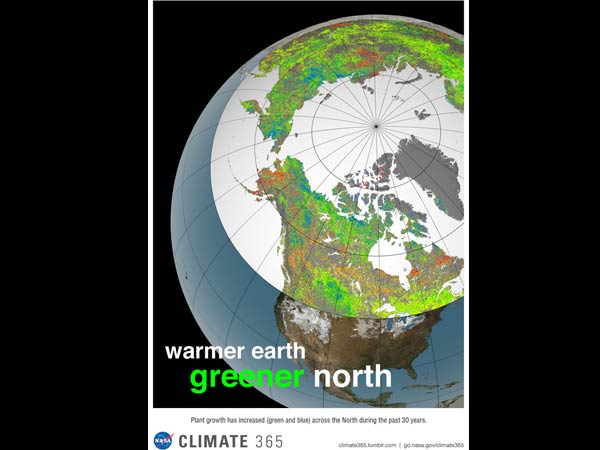  காடுகள் வளர்ச்சி