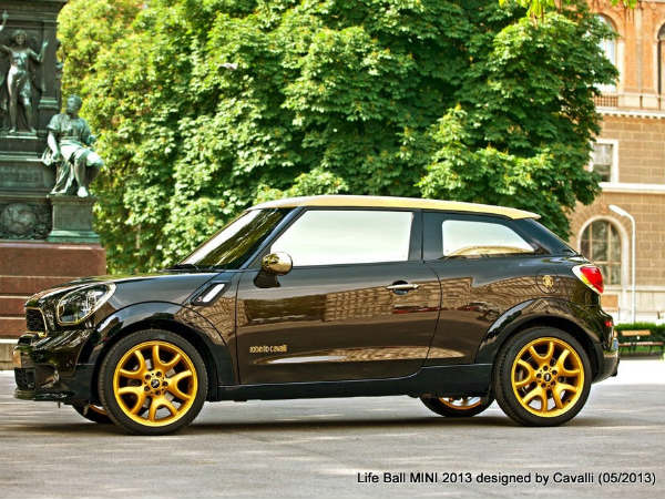 மேனாமினுக்கி மினி