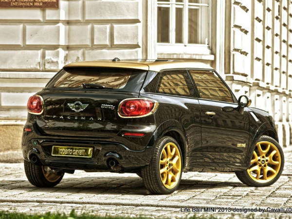 மேனாமினுக்கி மினி