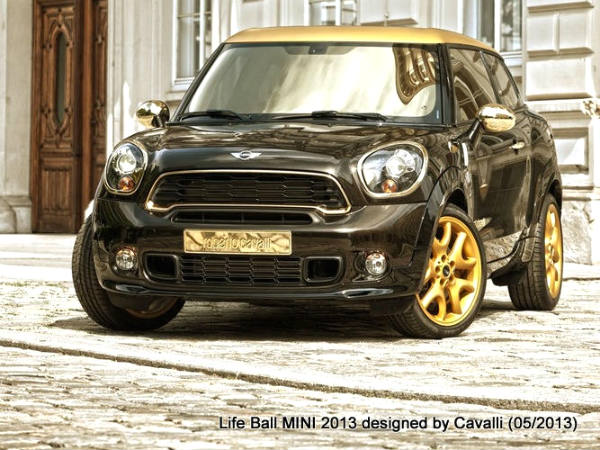 மேனாமினுக்கி மினி