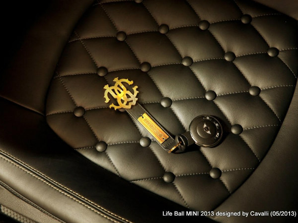 மேனாமினுக்கி மினி