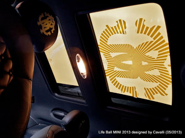 மேனாமினுக்கி மினி