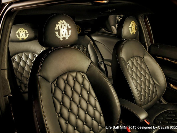 மேனாமினுக்கி மினி