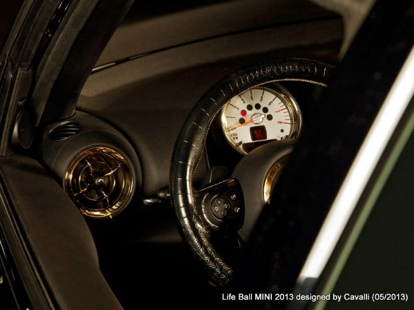 மேனாமினுக்கி மினி