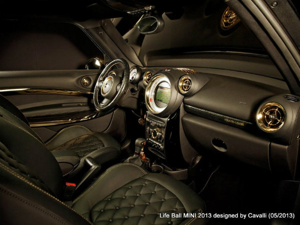 மேனாமினுக்கி மினி