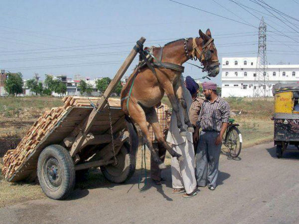 சுவாரஸ்யமான படங்கள்