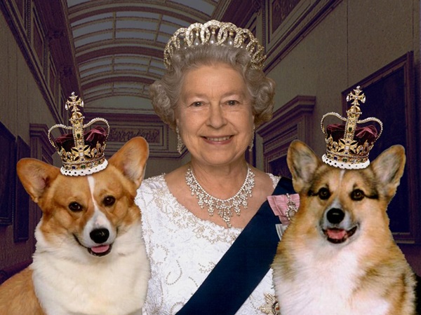  இரண்டாம் எலிசபெத்