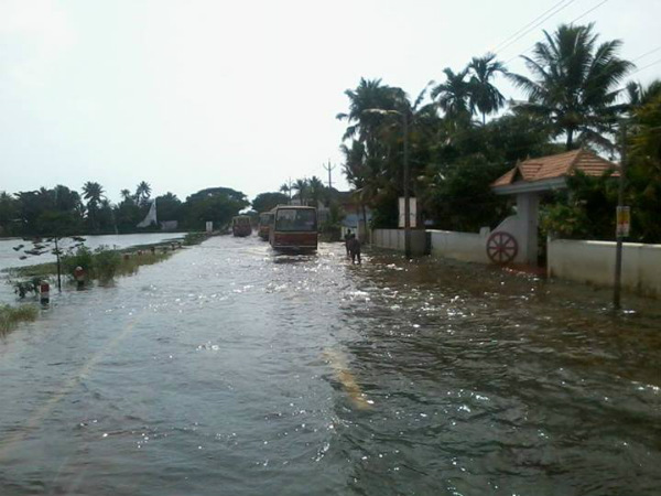 சுவாரஸ்யமான படங்கள்